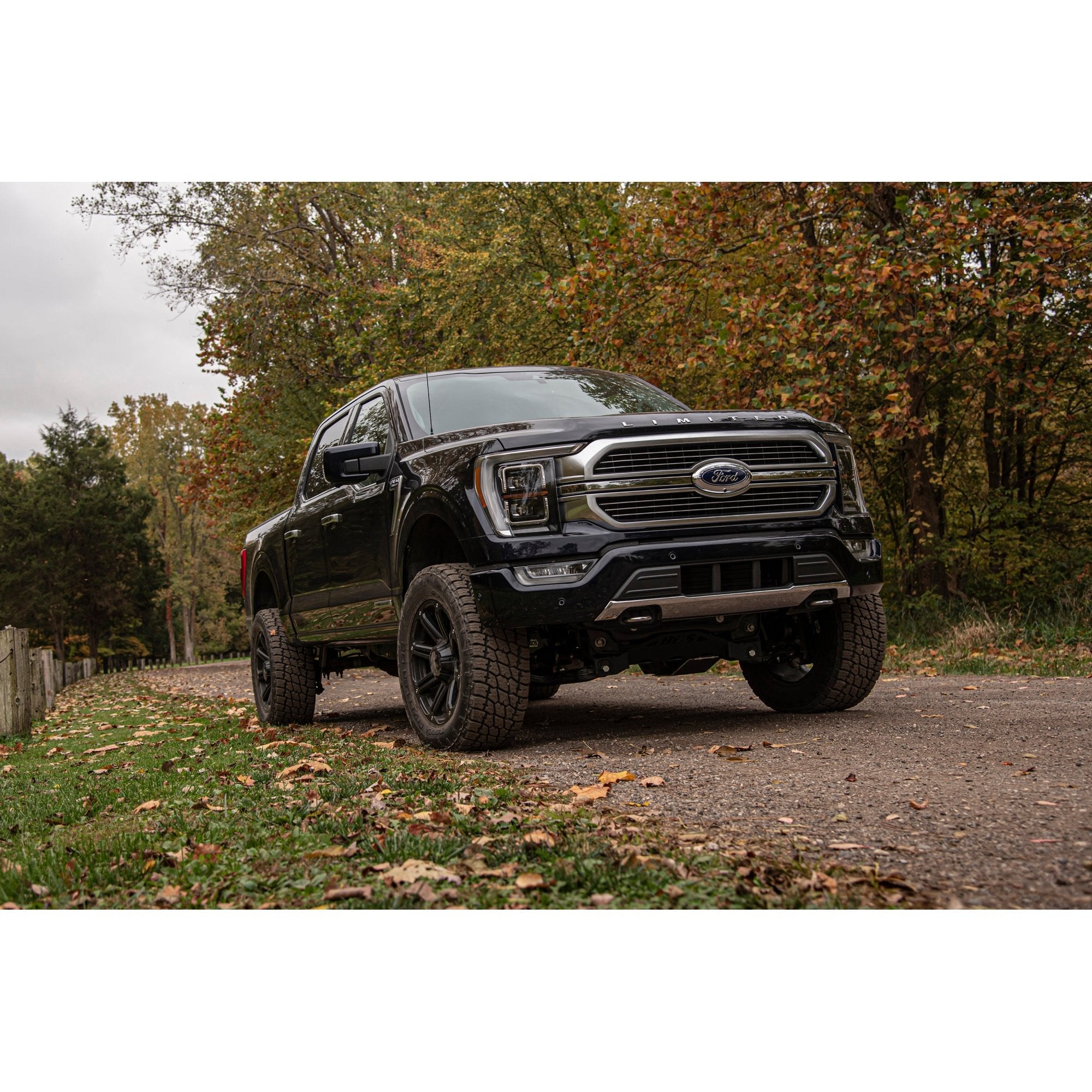 4" Lift Kit with Fox 2.5" Coilover DSC Shocks suits Ford F-150 (21-26) by BDS Suspension