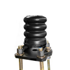 Rear SumoSprings - 810kg - Black suits Holden Colorado (2015-2023) by SuperSprings International