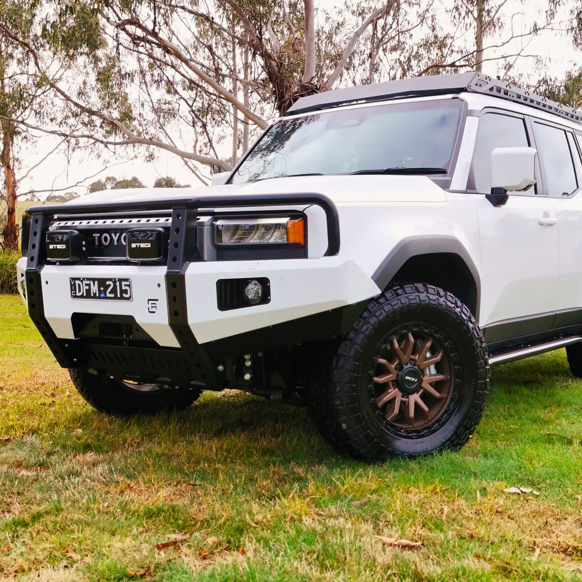 Raslarr 250 Series Toyota Landcruiser Prado Hooped Dallas Bull Bar