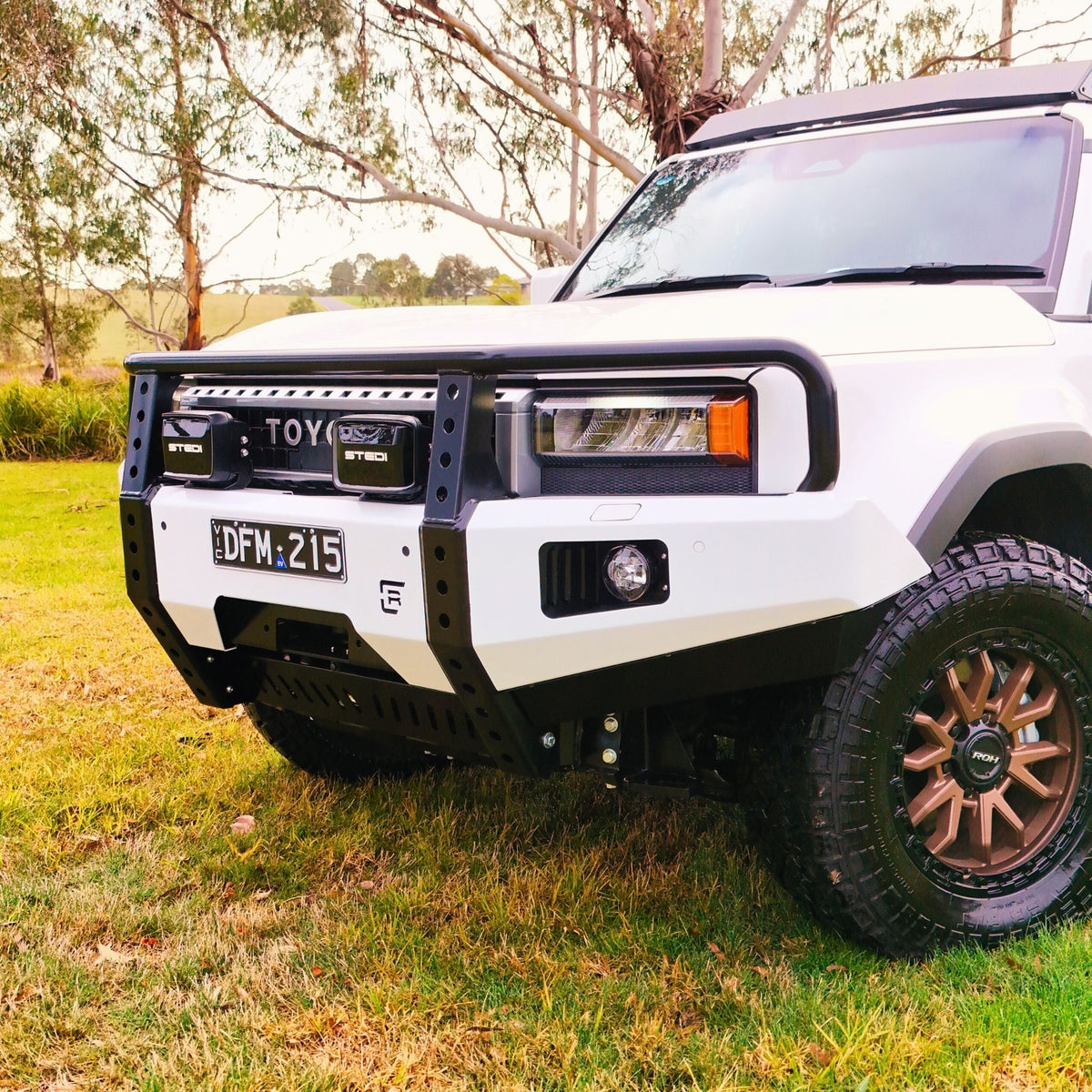 Raslarr 250 Series Toyota Landcruiser Prado Hooped Dallas Bull Bar